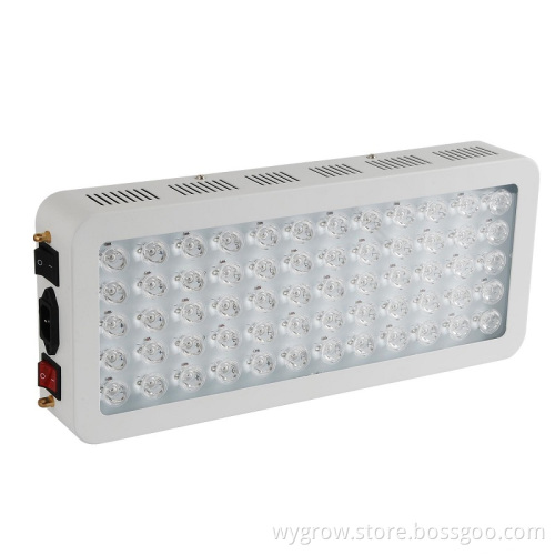 High power therapy light led 300w